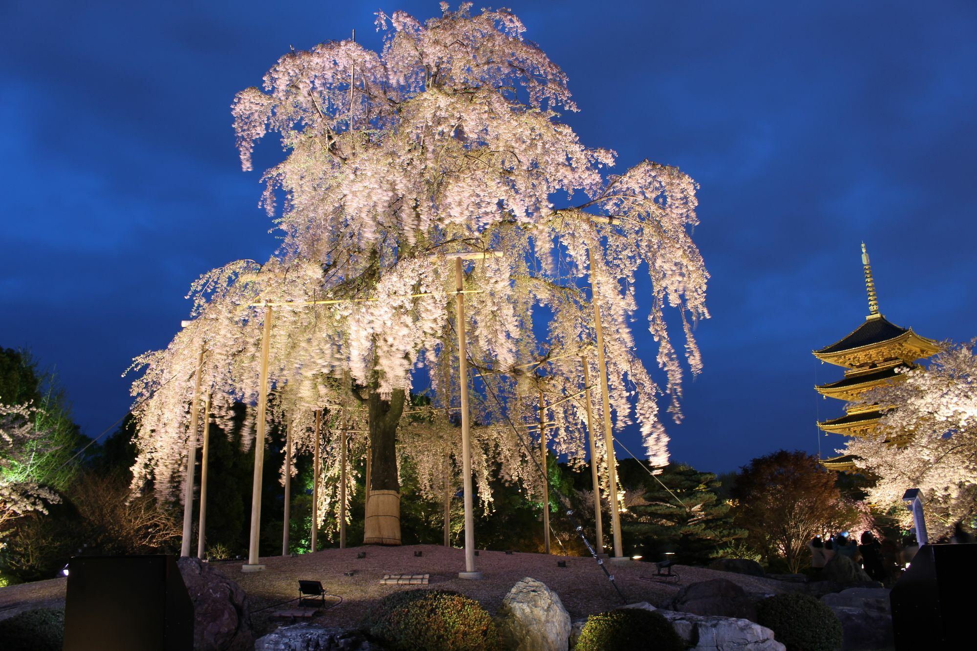 Stay Sakura Kyoto Toji West I Ngoại thất bức ảnh